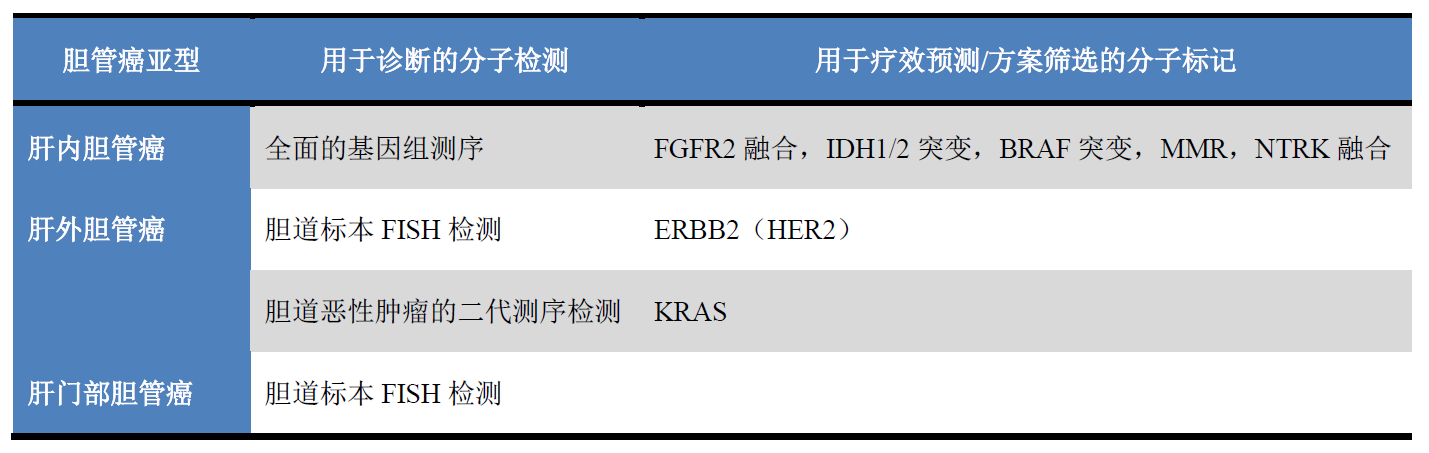 当分子病理遇到肝脏（二）