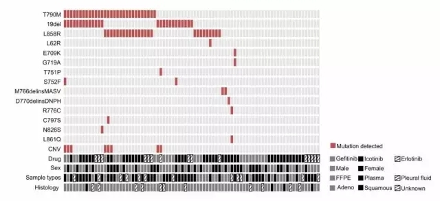 应用二代测序技术对一代EGFR-TKI耐药后非小细胞肺癌患者进行基因突变分析