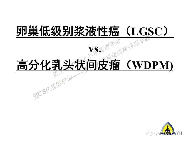 中华病理学会基层培训遵义站讲座（一）——卵巢和输卵管浆液性肿瘤的诊断和鉴别诊断