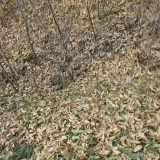2012-12-10