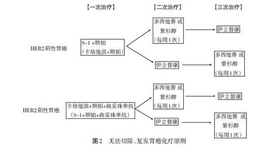 不能切除的进展期胃癌、复发癌的化疗流程图