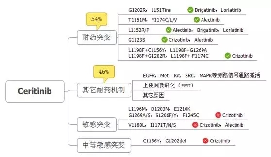 ALK融合阳性NSCLC的耐药对策