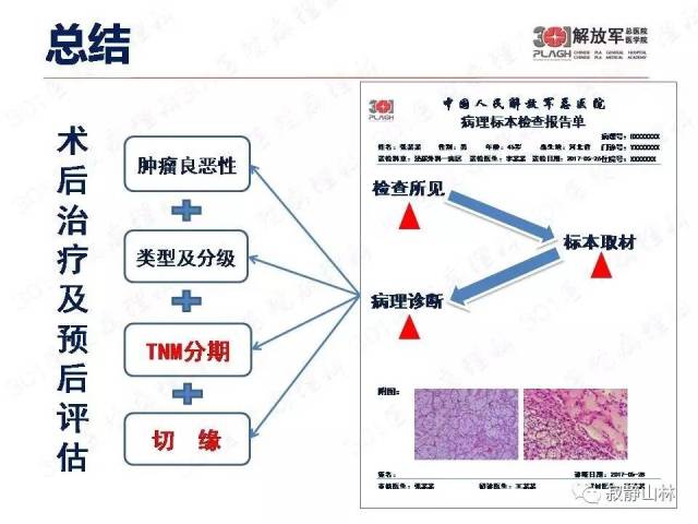 泌尿系统常见肿瘤标本病理报告规范