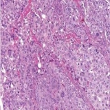 2012-09-27