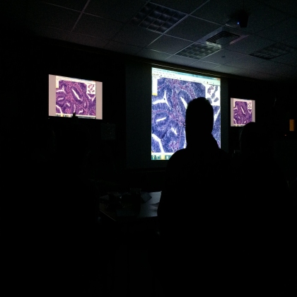 病理教学研讨会(Anatomic Pathology Didactic Conference)