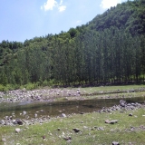 美景