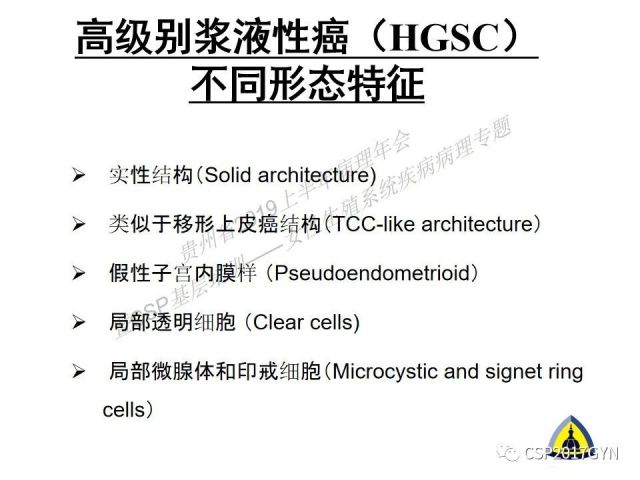 中华病理学会基层培训遵义站讲座（一）——卵巢和输卵管浆液性肿瘤的诊断和鉴别诊断