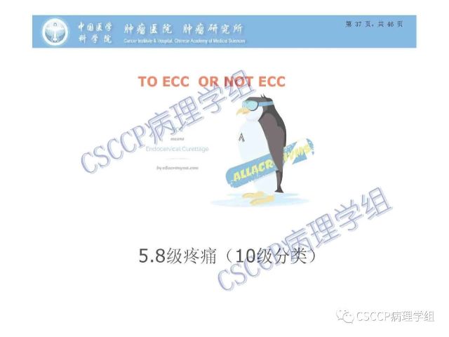 宫颈癌前病变中的诊断难点及阴道镜中ECC的 应用价值