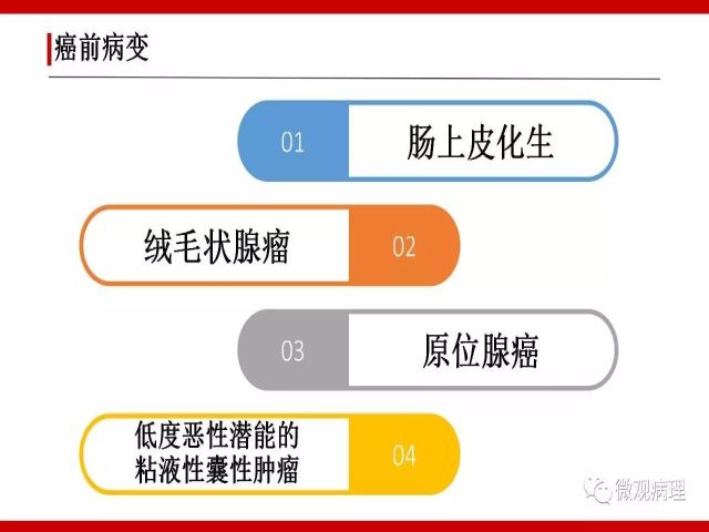 泌尿课程/尿路腺样病变的诊断要点