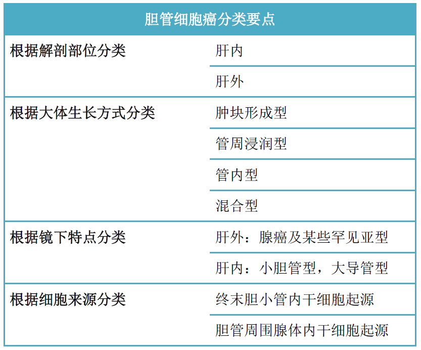 胆管细胞癌（一）-概述及分类