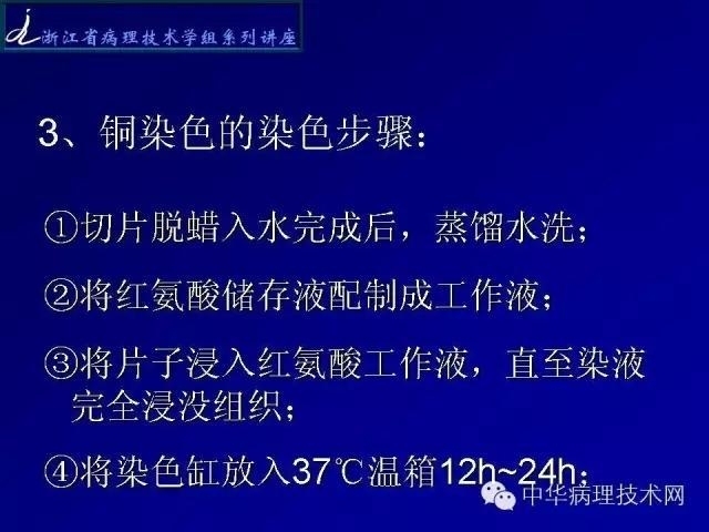 特殊染色-铜染色