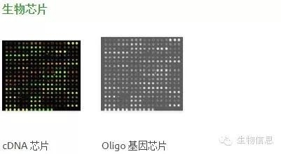 NGS数据处理流程
