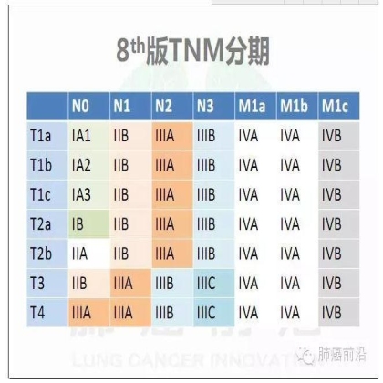 肺癌新分期和分类--临床和研究启示