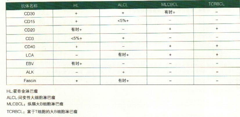 霍奇金淋巴瘤鉴别诊断免疫组化标记物