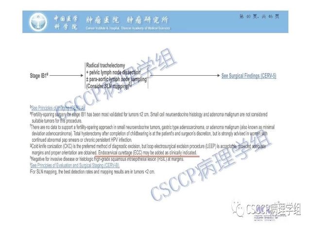 宫颈癌前病变中的诊断难点及阴道镜中ECC的 应用价值