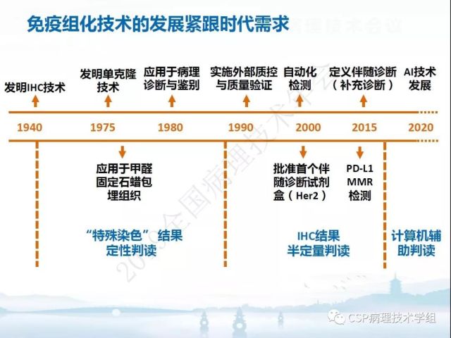 免疫组化检测的临床应用与质量评估