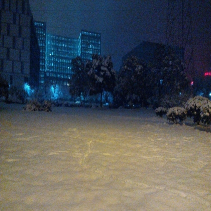 每年的第一场雪
