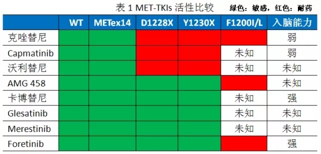 MET基因突变及扩增肺癌
