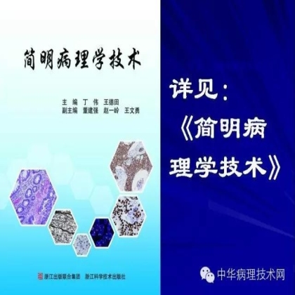 介绍几种日常工作中常见组织的脱钙方法