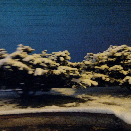 每年的第一场雪