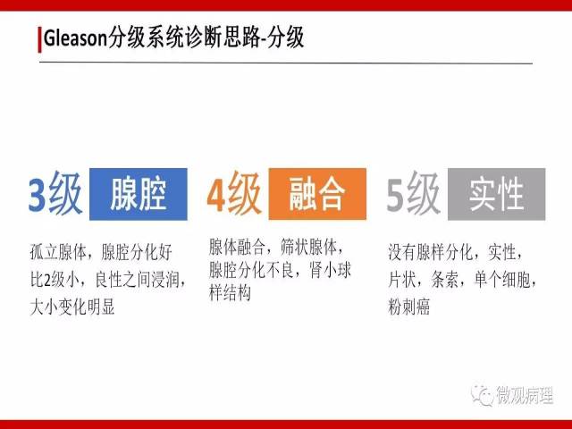 前列腺癌Gleason分级系统的前世今生