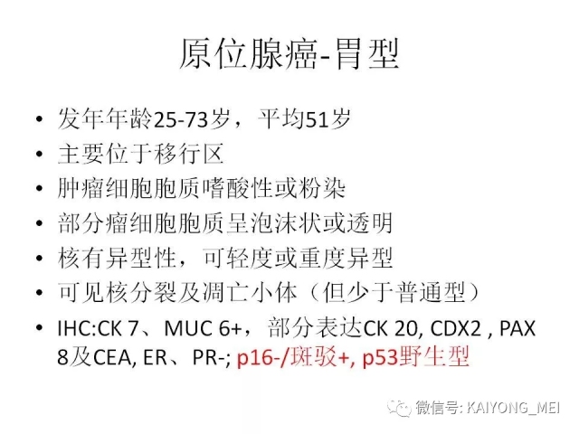 宫颈腺性病变的病理诊断及进展（一）