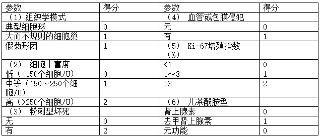 嗜铬细胞瘤和副神经节瘤临床病理学特征