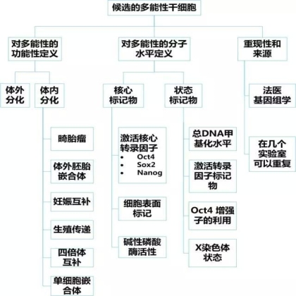 国自然科学问题分析：干细胞依然火爆