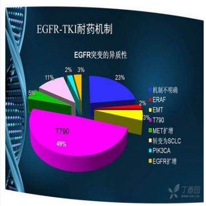 晚期非小细胞肺癌 EGFR-TKI 耐药研究进展