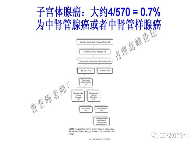 妇科肿瘤病理新进展——特殊类型的腺癌