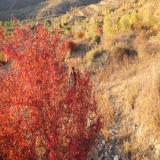 2011-10-08