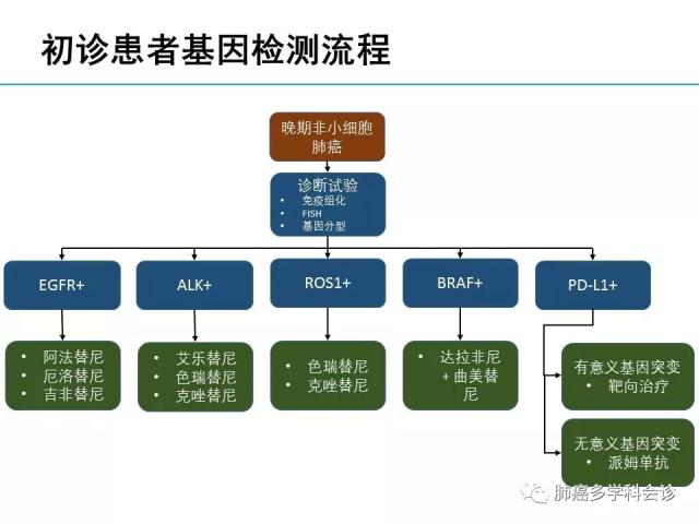 晚期非小细胞肺癌病理报告各有千秋