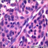 2012-06-06