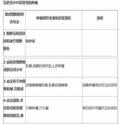 肿瘤病理学分类大全