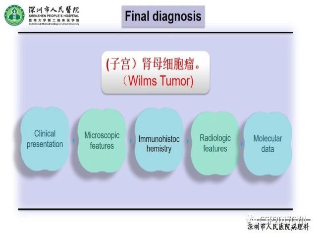 2019USCAP妇科病理热点介绍