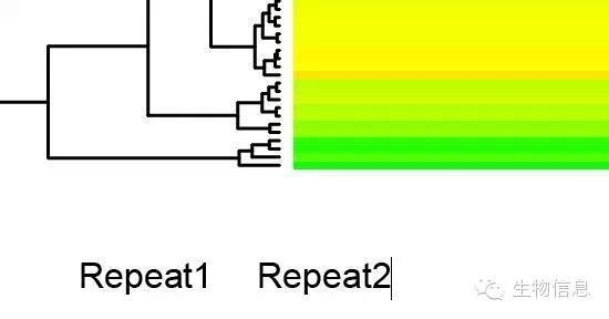HEAT MAP 相关