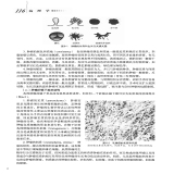 默认相册