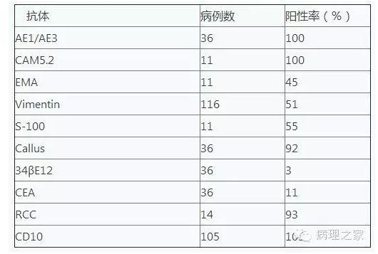 肾脏肿瘤的免疫表型