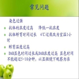 2011-11-21