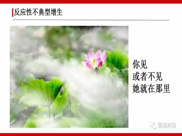 泌尿课程/非浸润性尿路上皮病变诊断的一些困惑