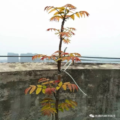 【新员工培养13】观念一变，月薪1千变6千
