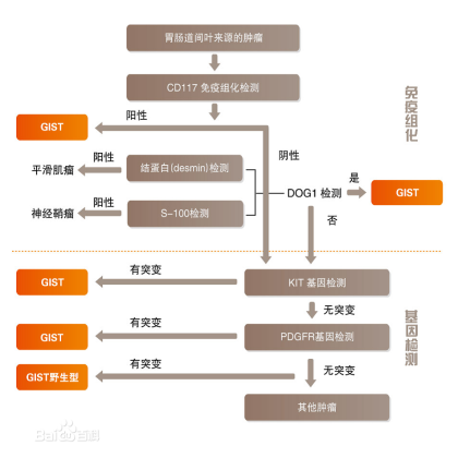 胃肠间质瘤诊断流程