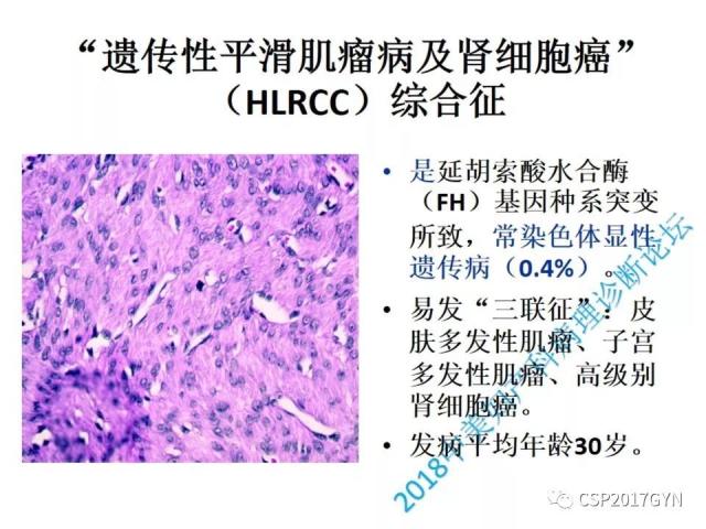 病理临床结合 开拓诊断视野