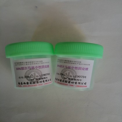 10%福尔马林中性固定液