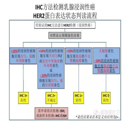 肿瘤精确医疗与分子病理检测