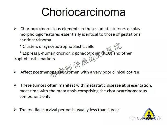 典型妇科病理病例的探究与分析