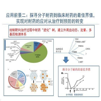 第13届中国肺癌高峰论坛
