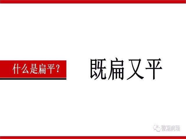 泌尿课程/尿路上皮病变的基本生长方式