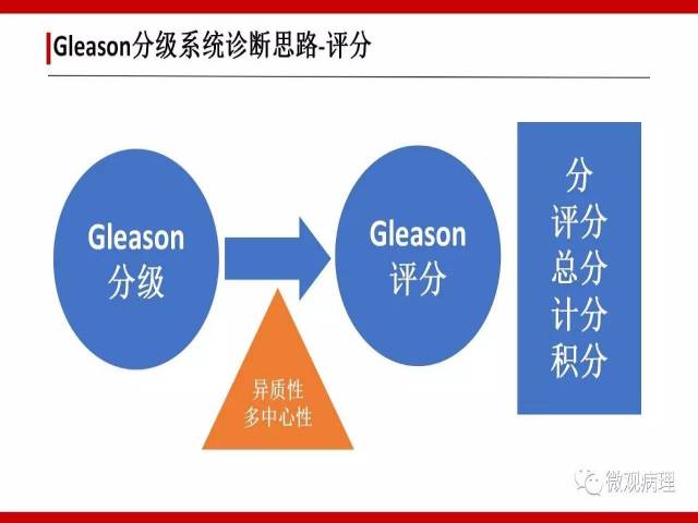前列腺癌Gleason分级系统的前世今生