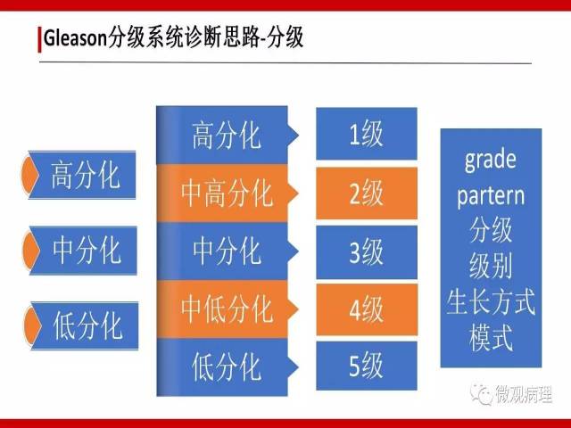 前列腺癌Gleason分级系统的前世今生